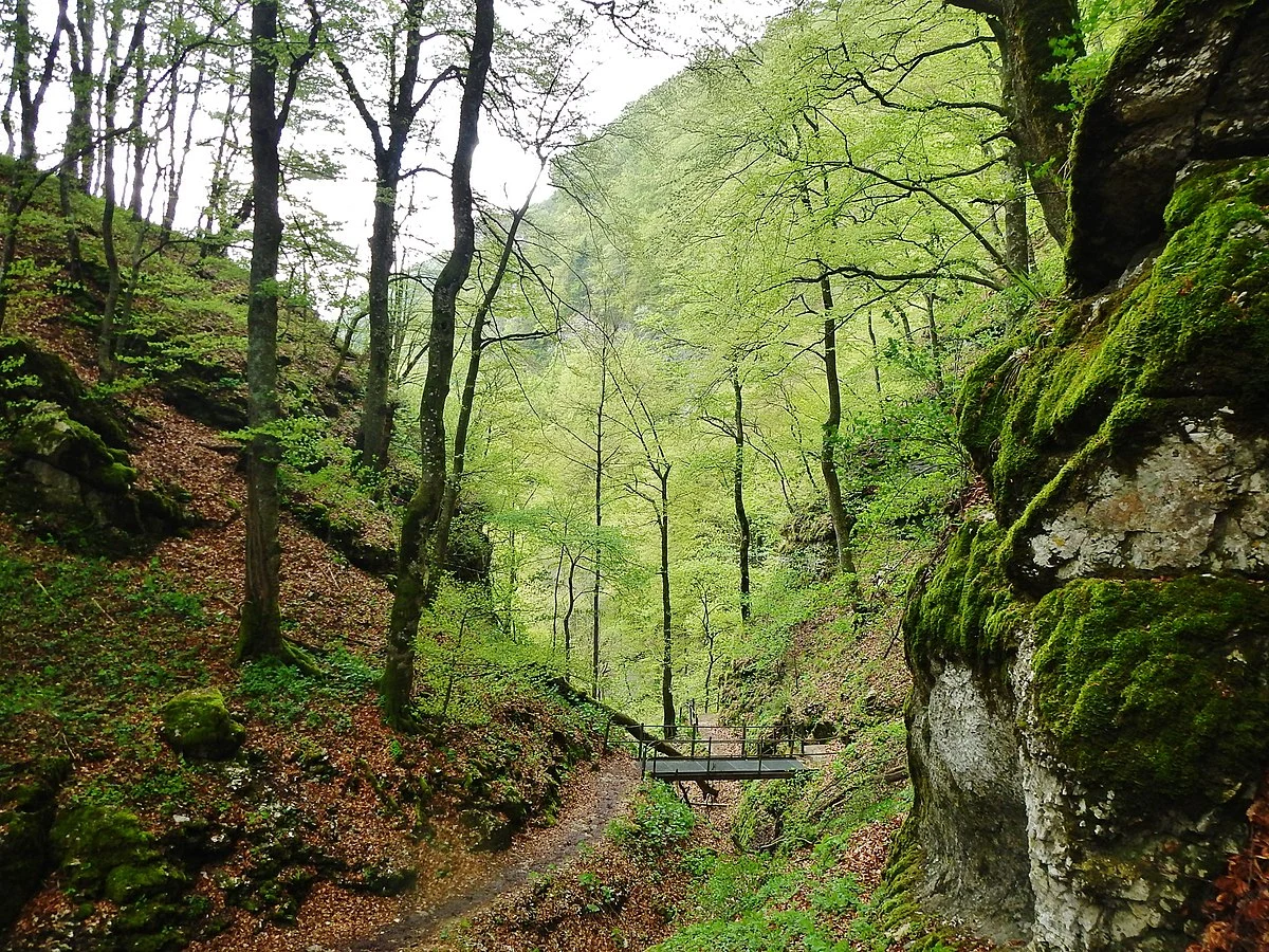 Hossinger Leiter and Graebelesberg via Traufgand Hossinger Leiter