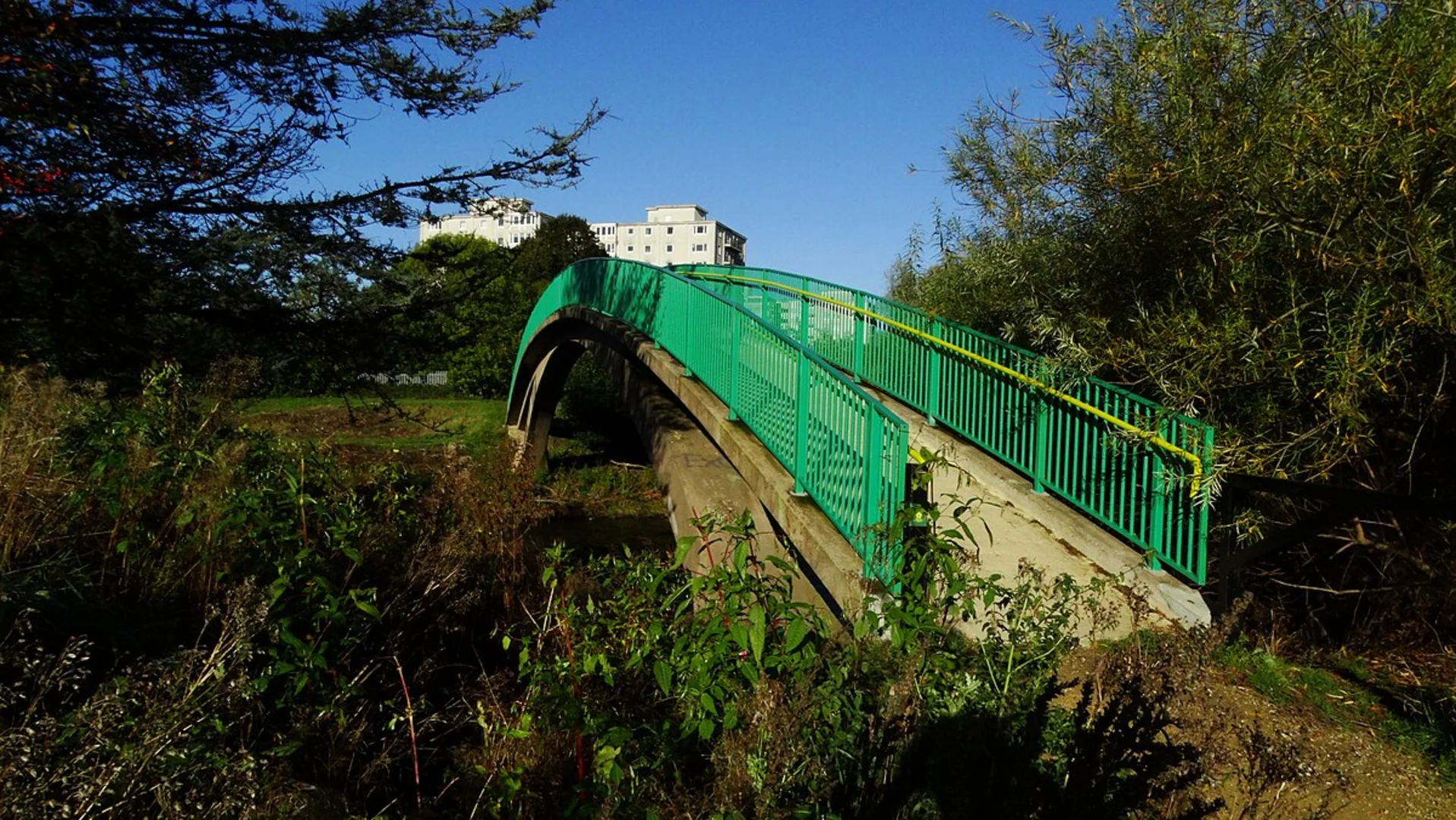 An image depicting the trail Kersal Wetlands Loop and its surrounding area.