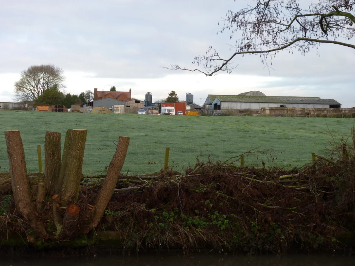 An image depicting the trail Stoke Prior Loop and its surrounding area.
