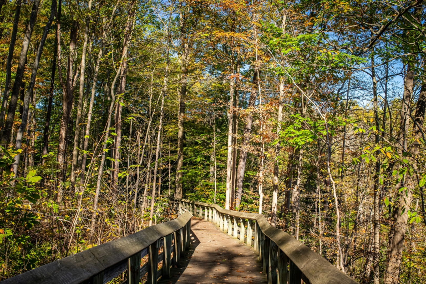 An image depicting the trail Brandywine Gorge Trail and its surrounding area.