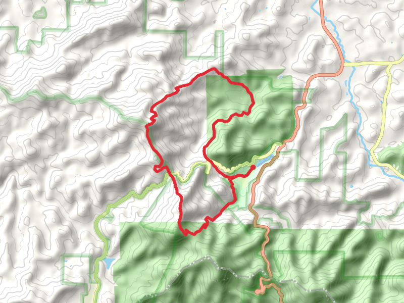 Wildcat Knob Loop via Coosa Backcountry