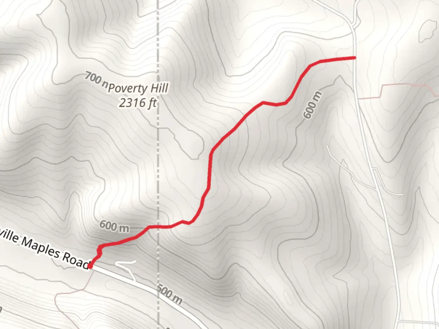 An image depicting the trail Finger Lakes Trail and its surrounding area.