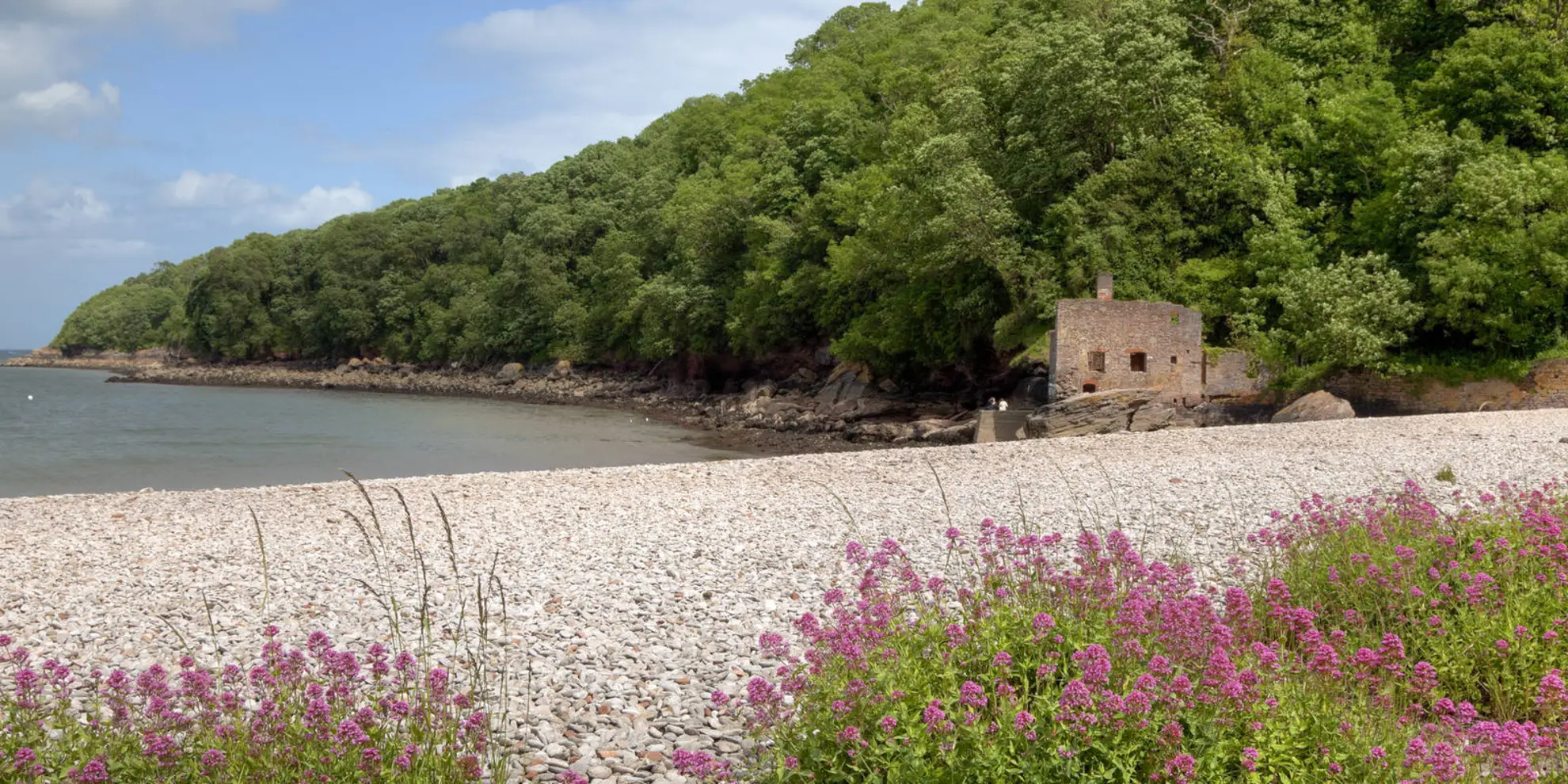 An image depicting the trail Fishcombe Point Walk and its surrounding area.