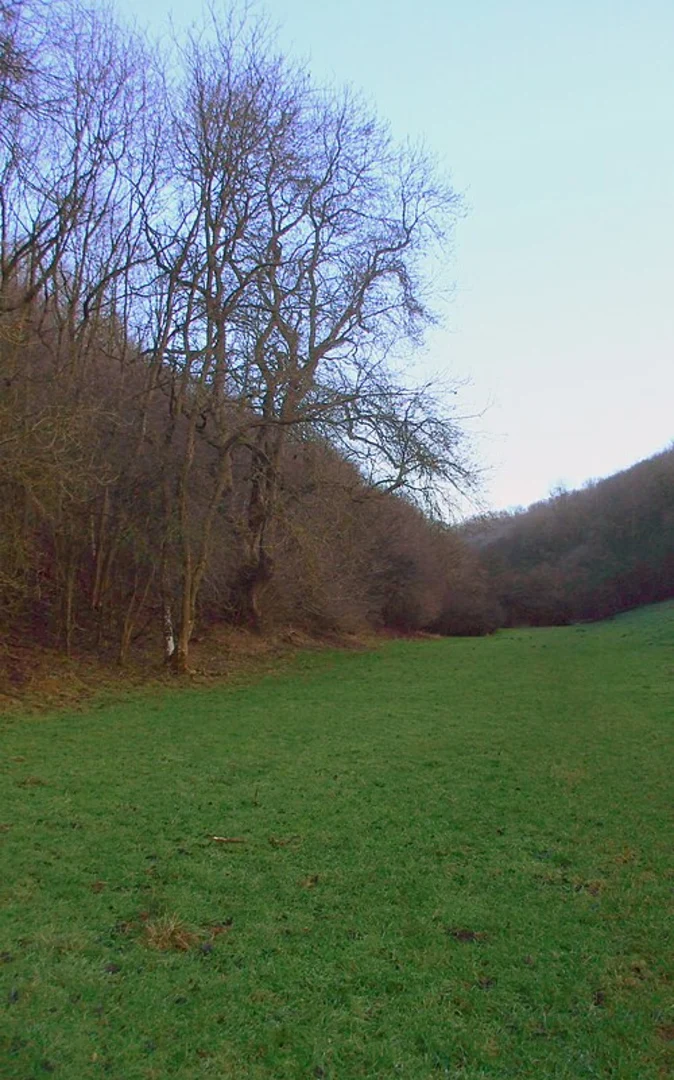 An image depicting the trail Rievaulx and Old Byland Loop via Spring Wood and its surrounding area.