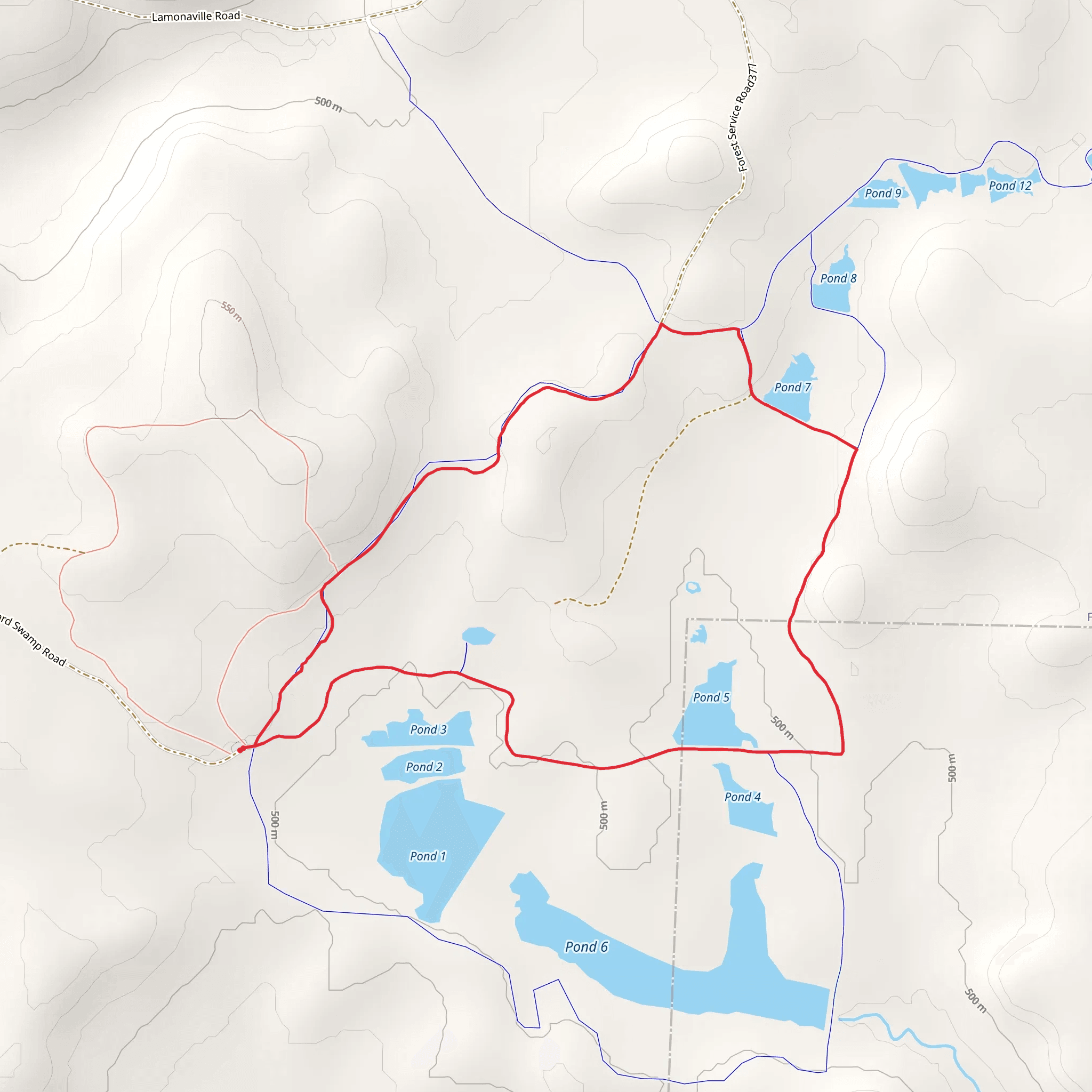 Buzzard Swamp Loop Trail mobile static map