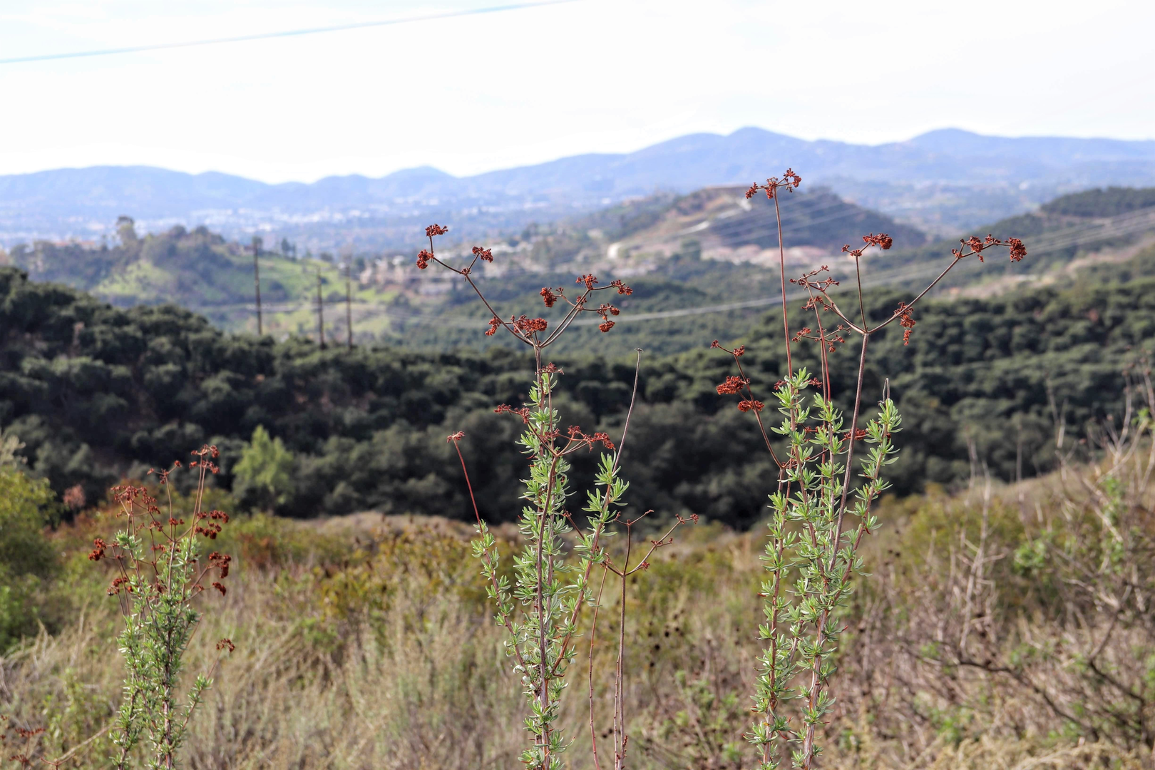 An image depicting the trail Creek Crossing Trail , Sage Trail and Coyote Run Trail Loop and its surrounding area.