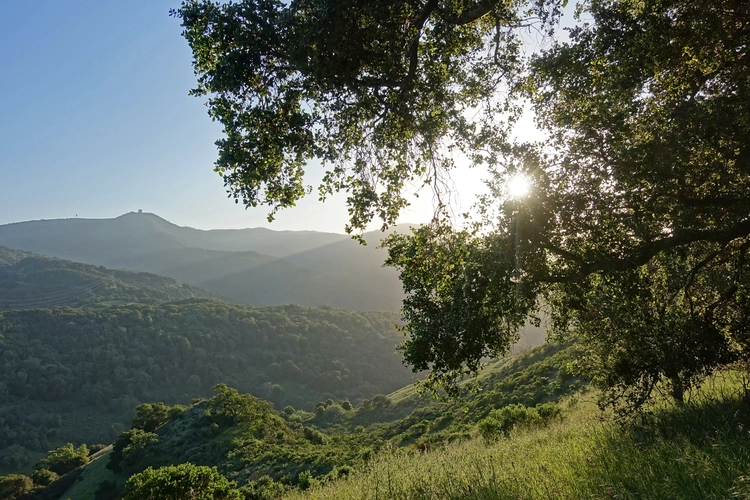 Virl O Norton and Mine Hill Trail