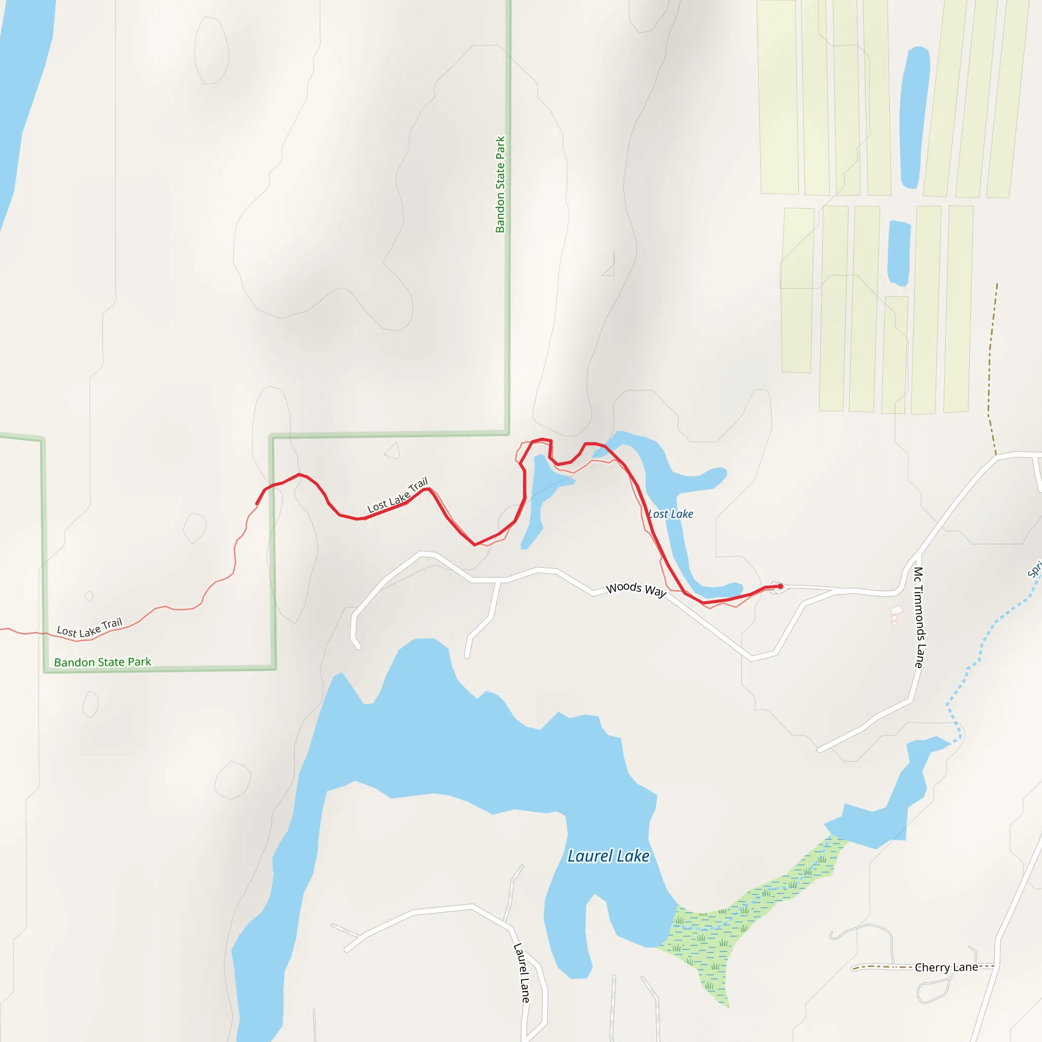 Lost Lake mobile static map