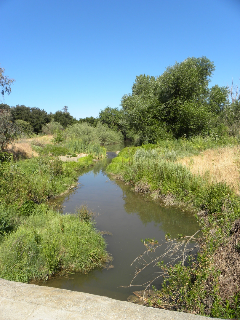 An image depicting the trail Debell Uvas Creek Preserve Loop and its surrounding area.