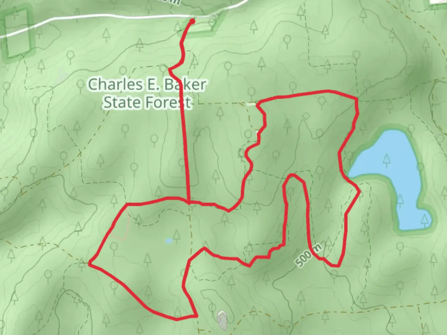 An image depicting the trail Chales E Baker State Forest Loop and its surrounding area.