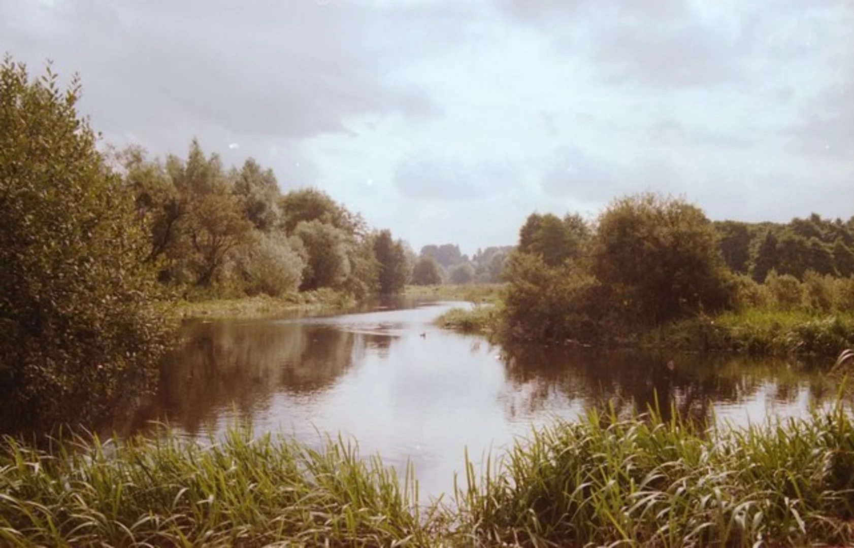 An image depicting the trail Yare Valley and its surrounding area.