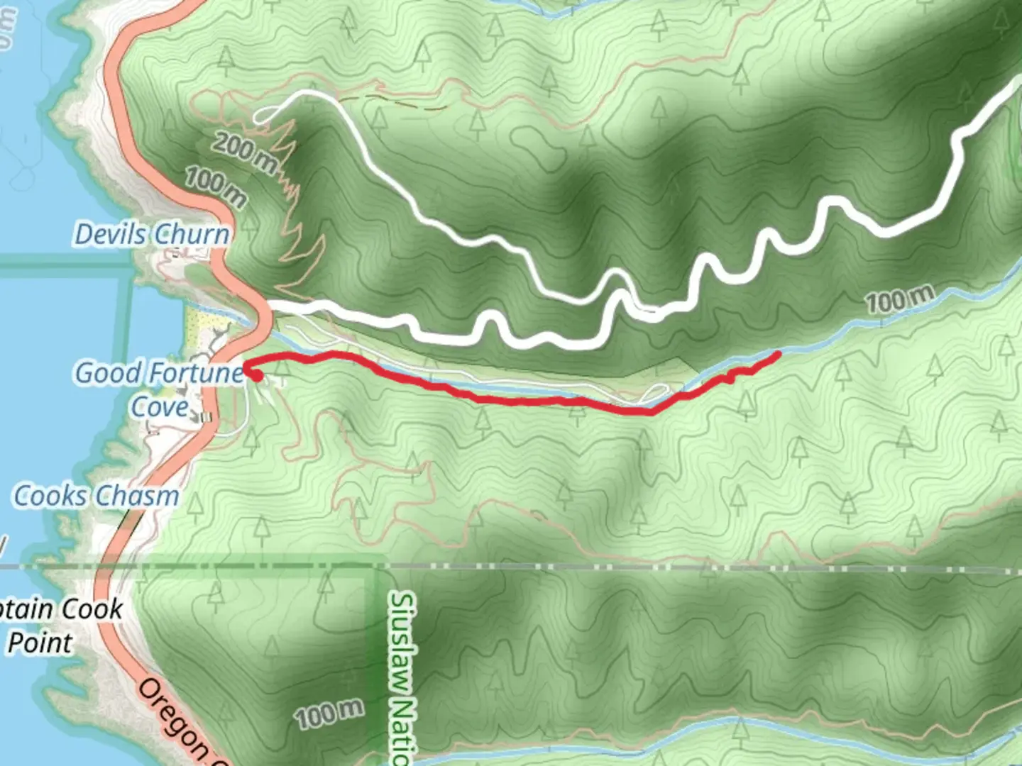 An image depicting the trail Giant Spruce Trail - Cape Cove and its surrounding area.