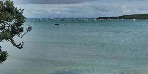 An image depicting the trail Rangitoto Island Longer Walks - Islington Bay Wharf to Home Bay and its surrounding area.