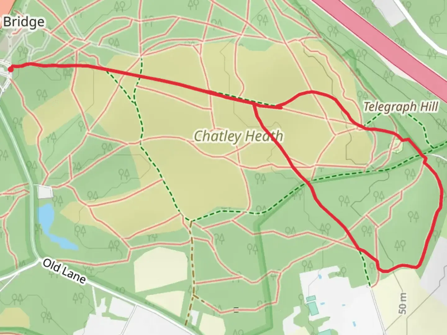 An image depicting the trail Hatchford Wood Loop and its surrounding area.