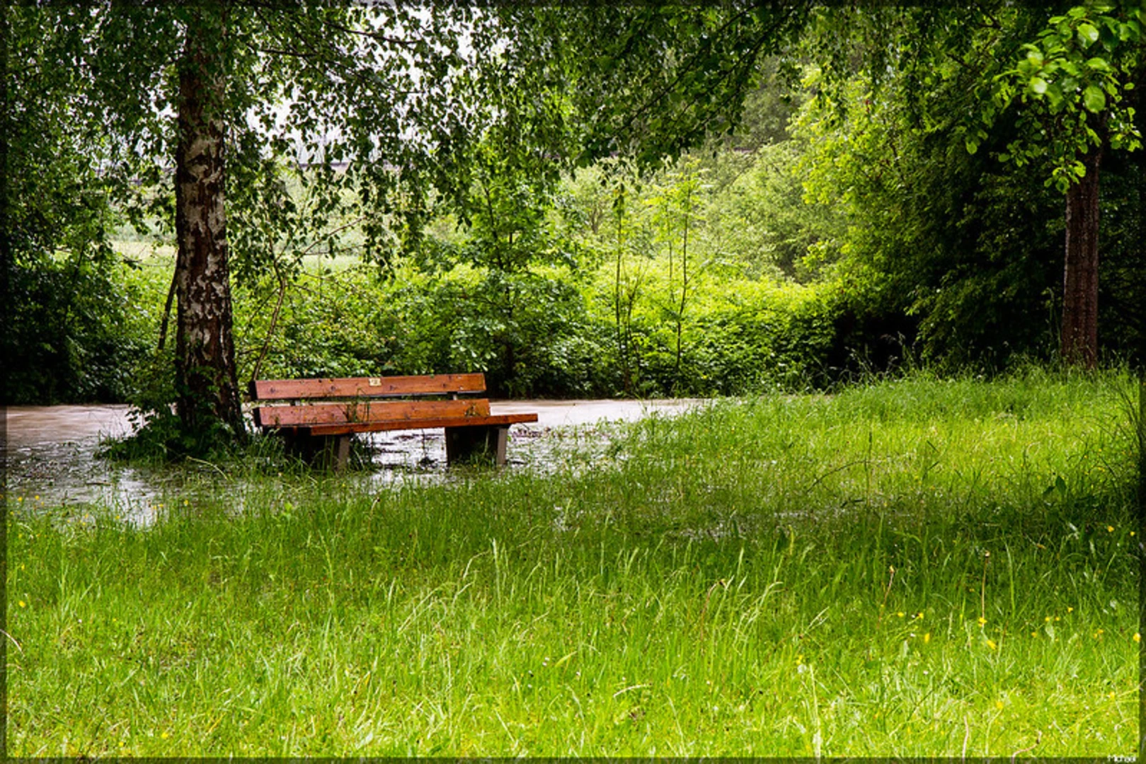 An image depicting the trail MVV Wanderweg Dreieck Ottenhofen and its surrounding area.