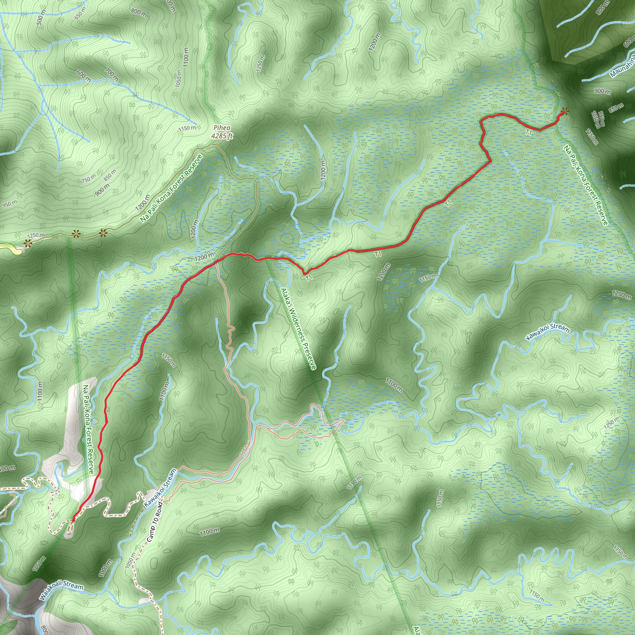 Alakai Swamp Trail mobile static map