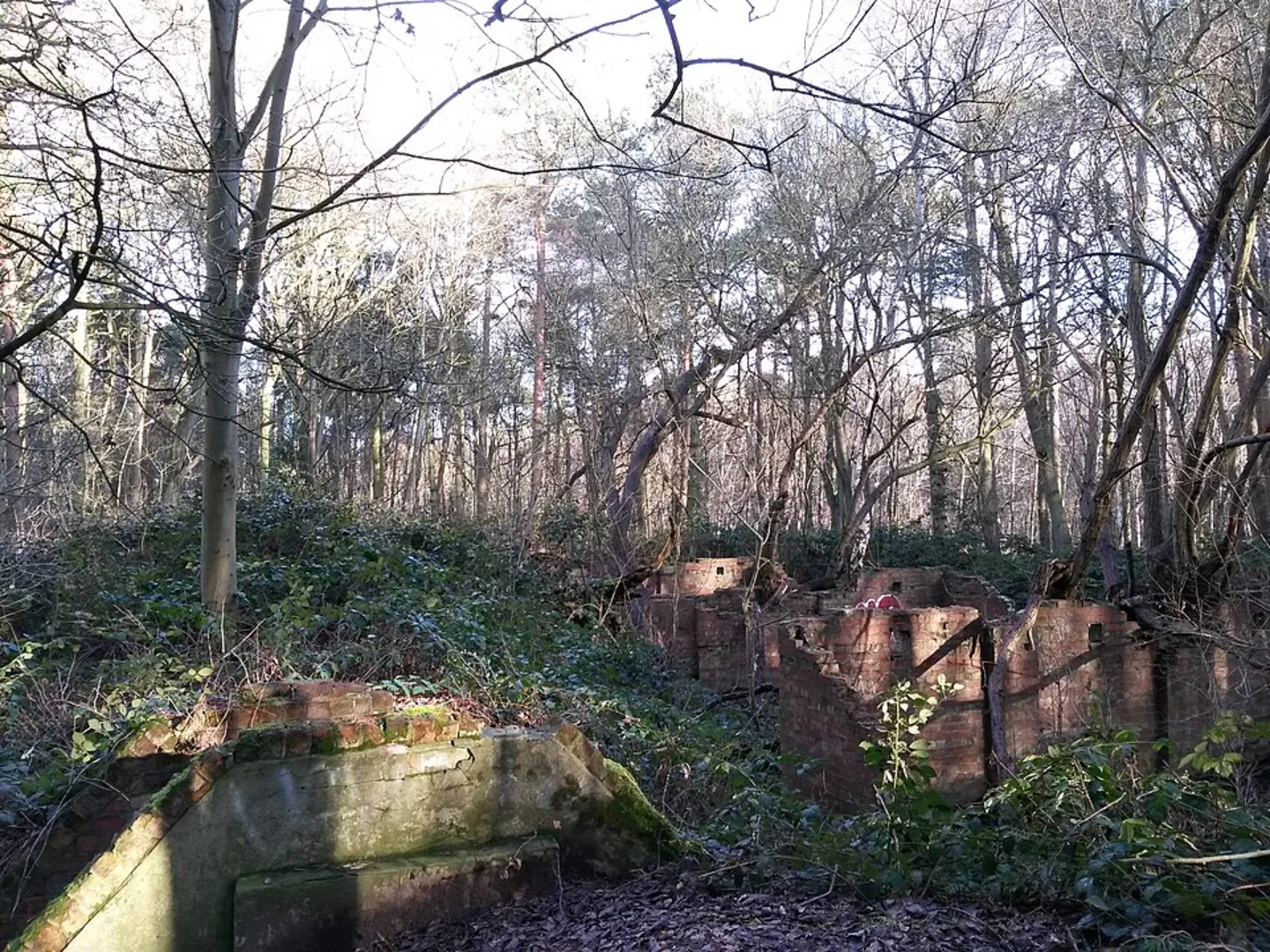 An image depicting the trail Skellingthorpe VIllage Loop and its surrounding area.