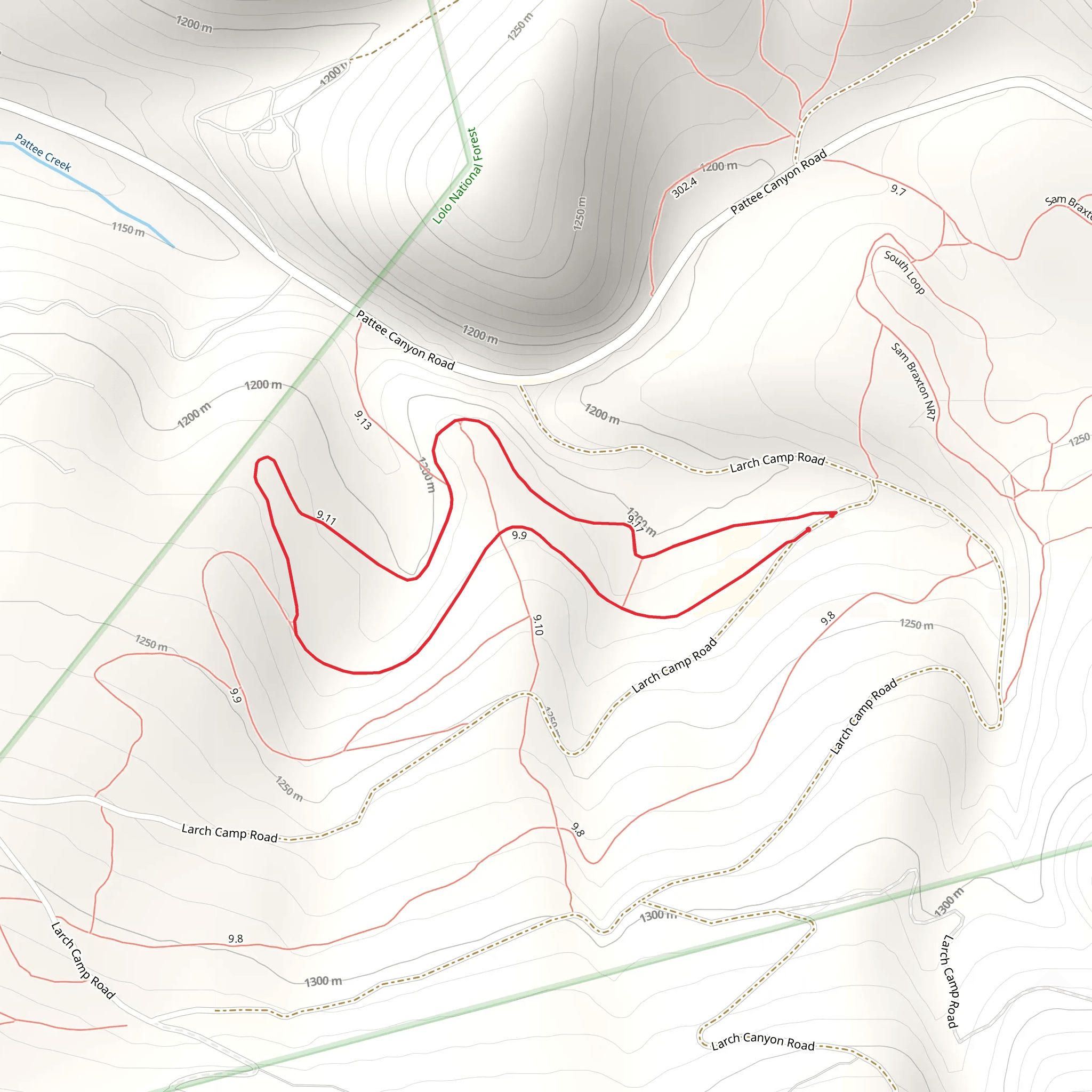 Larch Camp Cutoff B and D Loop mobile static map