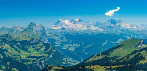 An image depicting the trail Übers Bachholz and its surrounding area.