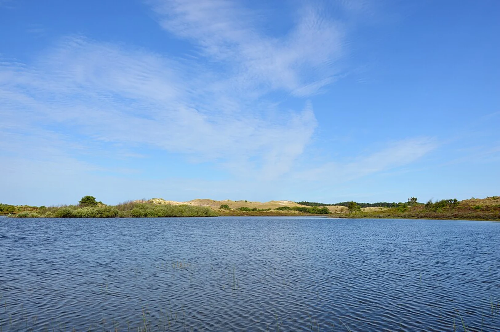 An image depicting the trail Vogelmeer via Meeuwen Weg, Maria Weg and Lange Weg and its surrounding area.