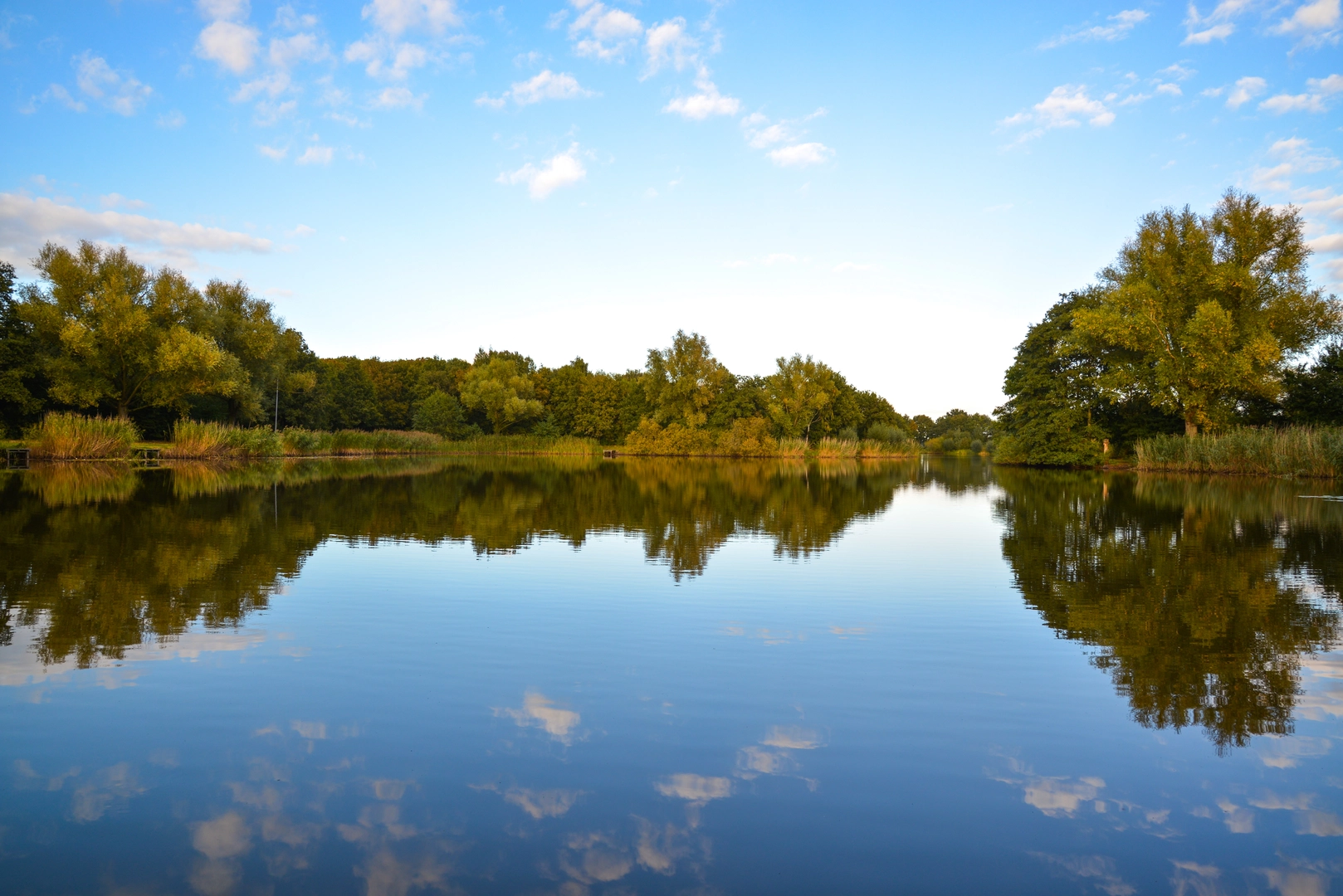 An image depicting the trail De Achterste, Park Hemelrijk, Schaijksche and De Geelders Loop and its surrounding area.