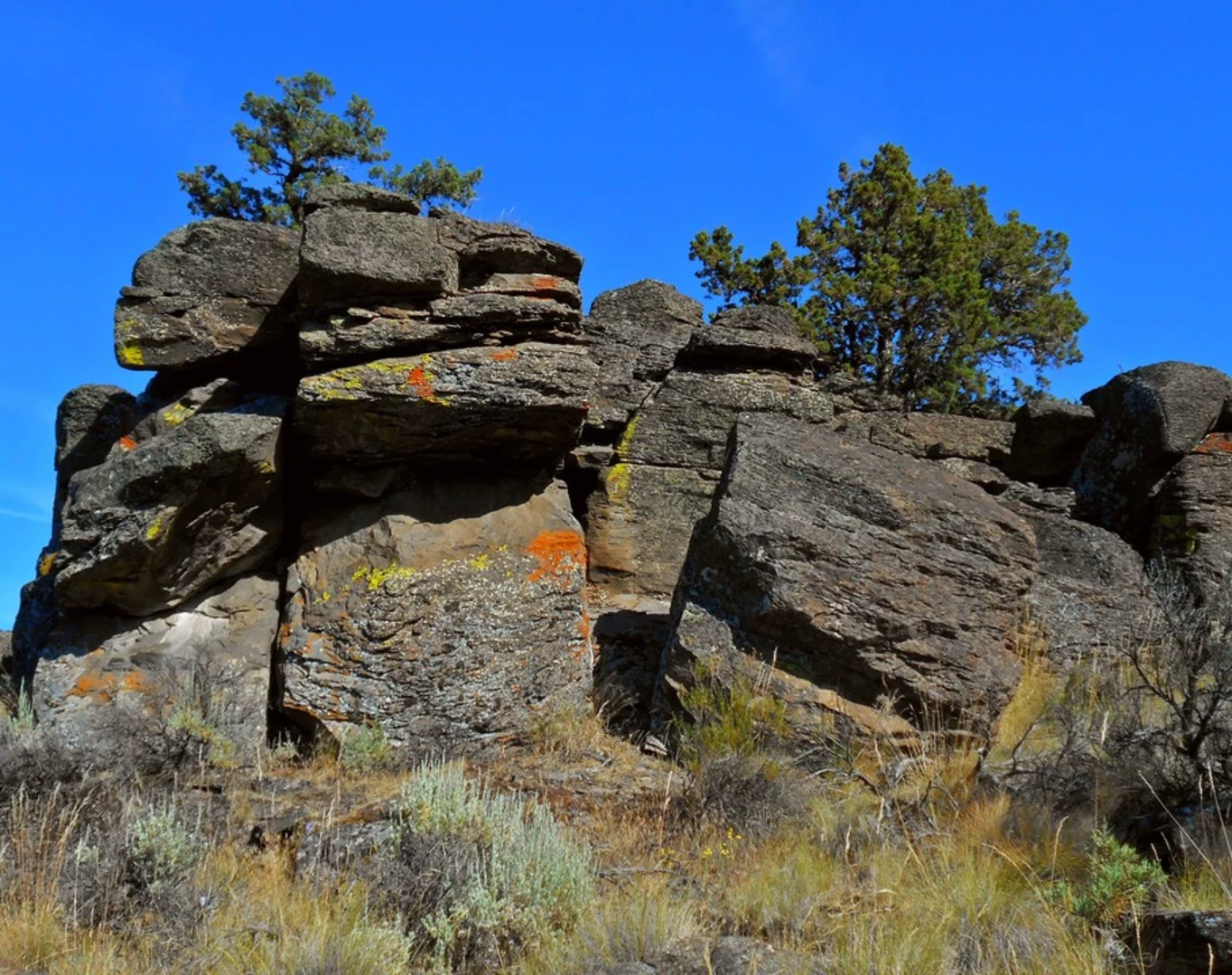 An image depicting the trail Bessie Butte Trail and its surrounding area.