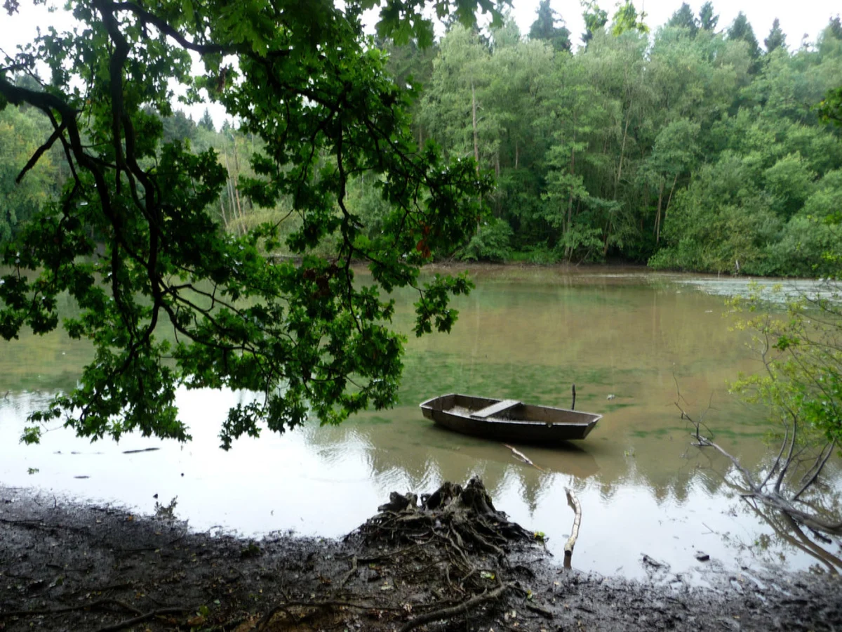 Slaugham Mill Pond and Furnace Pond Loop