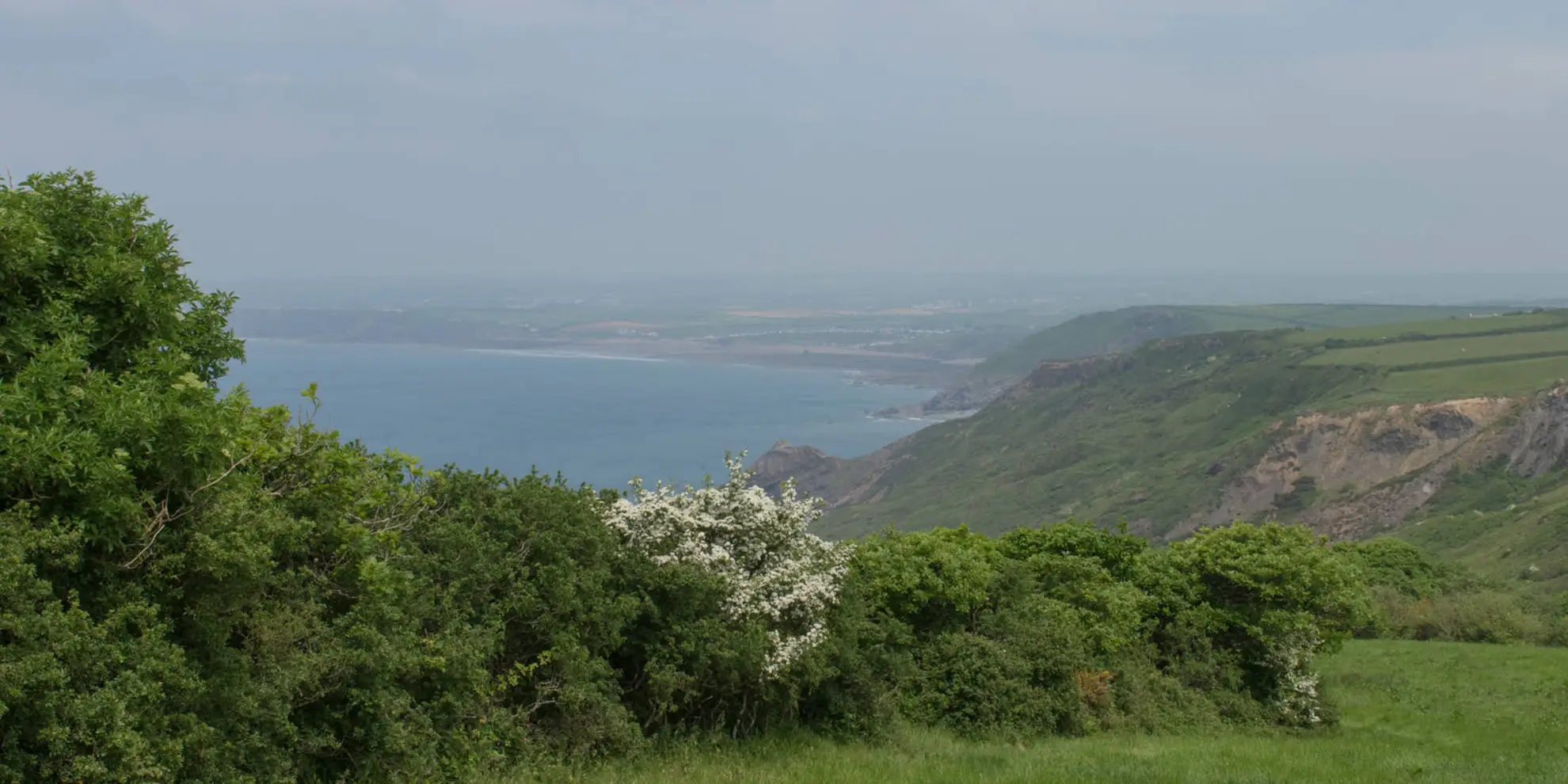 An image depicting the trail Dizzard Point - Millook from Penhalt Cliff and its surrounding area.