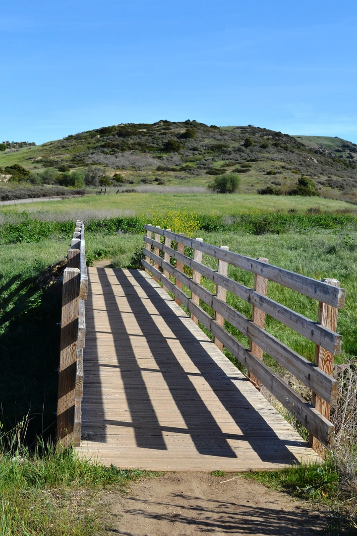 An image depicting the trail Shady Canyon Trail and Bommer Pass and its surrounding area.