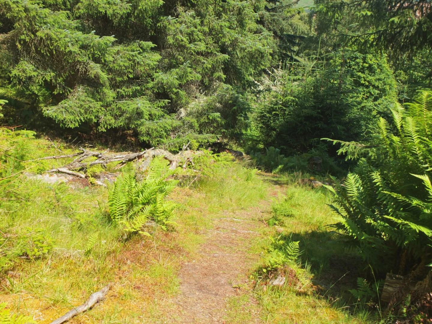 An image depicting the trail Fergus Loop Trail and its surrounding area.