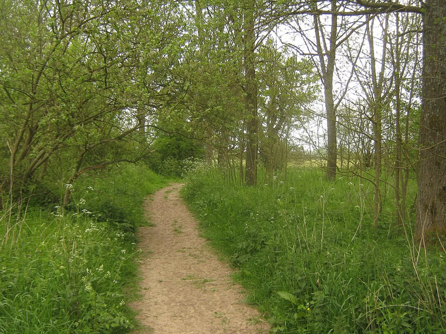 An image depicting the trail East Haxted Farm Airfield Loop and its surrounding area.
