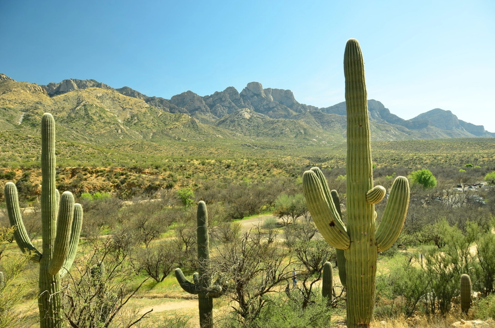 An image depicting the trail Sutherland Trail and its surrounding area.