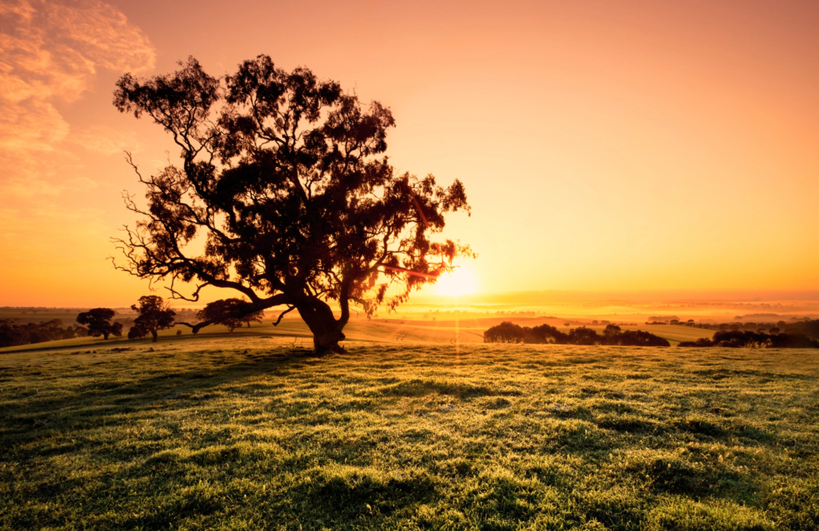 An image depicting the trail Riesling Trail - Auburn to Clare and its surrounding area.