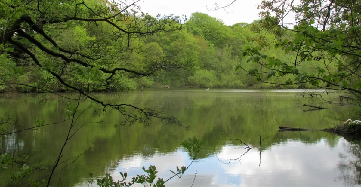 Shadwell to Scarcroft Loop