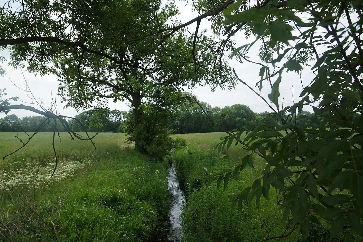 Bargteheide to Tremsbüttel Loop via Rund um Bargteheide