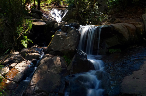 Olinda Falls and Valley Trail