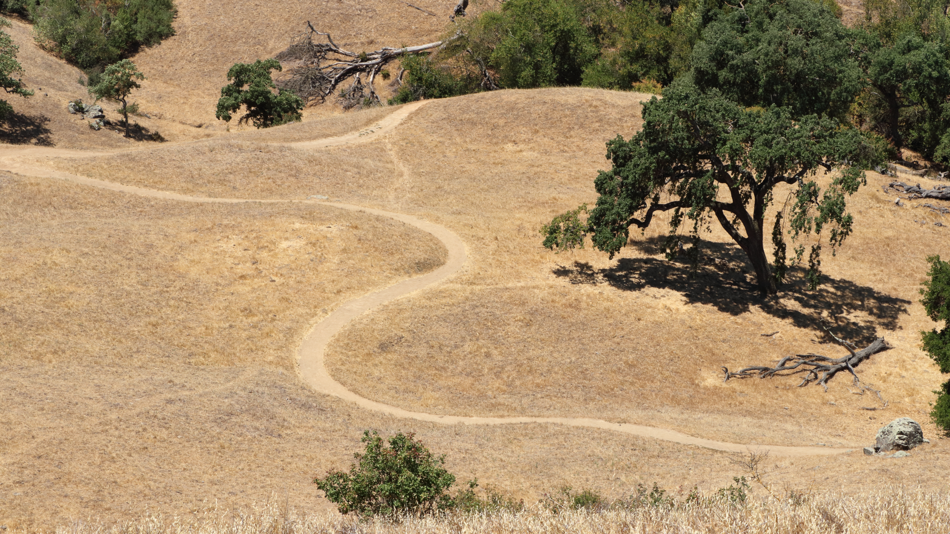 An image depicting the trail Luci's Trail and its surrounding area.