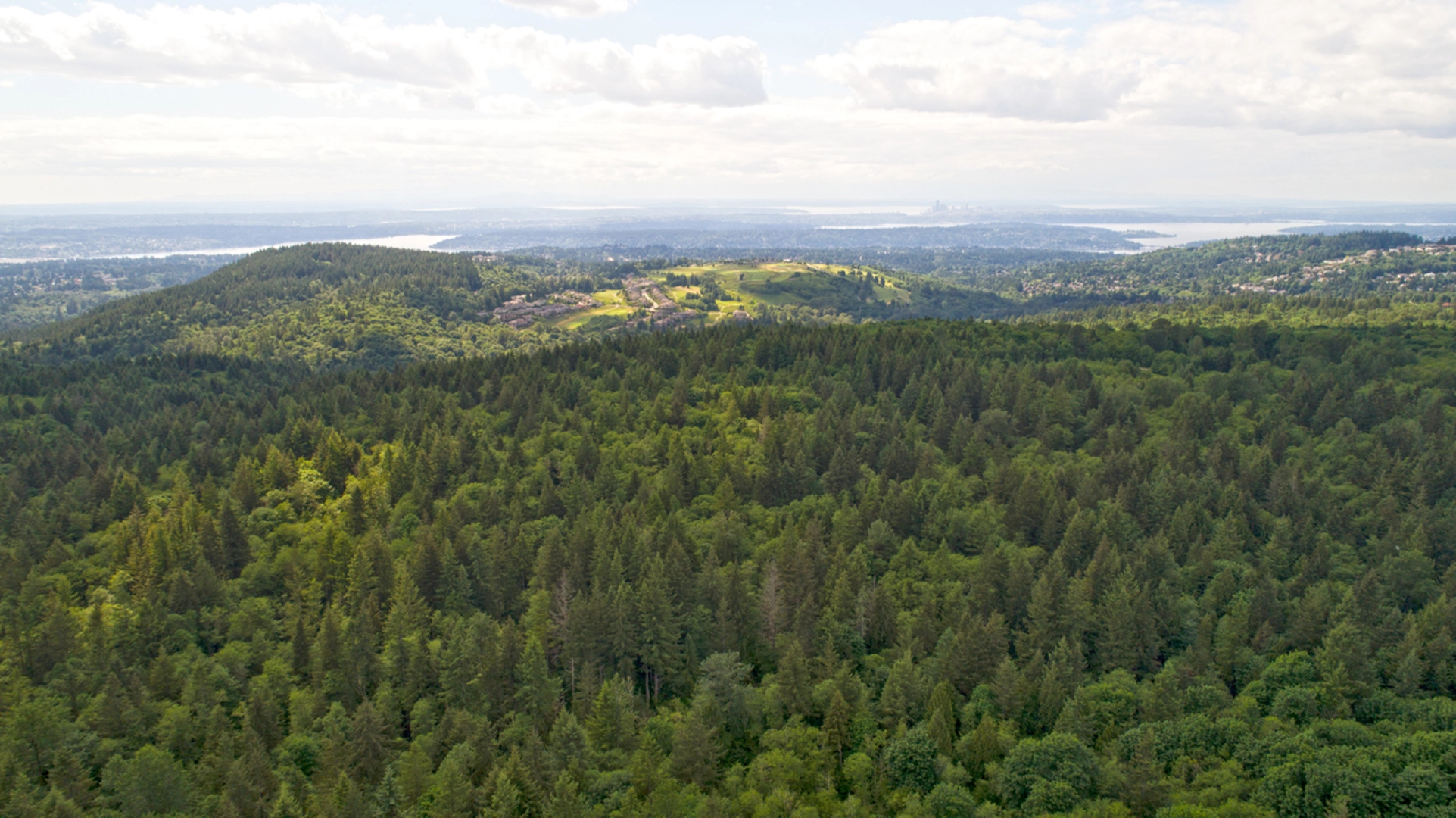 An image depicting the trail Tyee Ridge Trail and its surrounding area.
