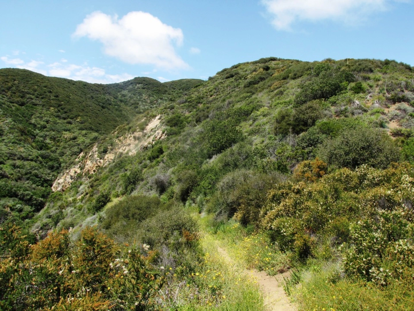 An image depicting the trail Zuma Canyon Trail and its surrounding area.