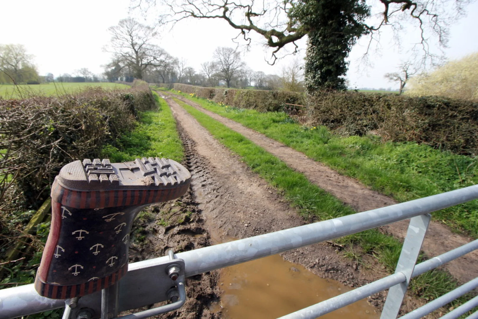 An image depicting the trail Bishop Bennet Way and its surrounding area.