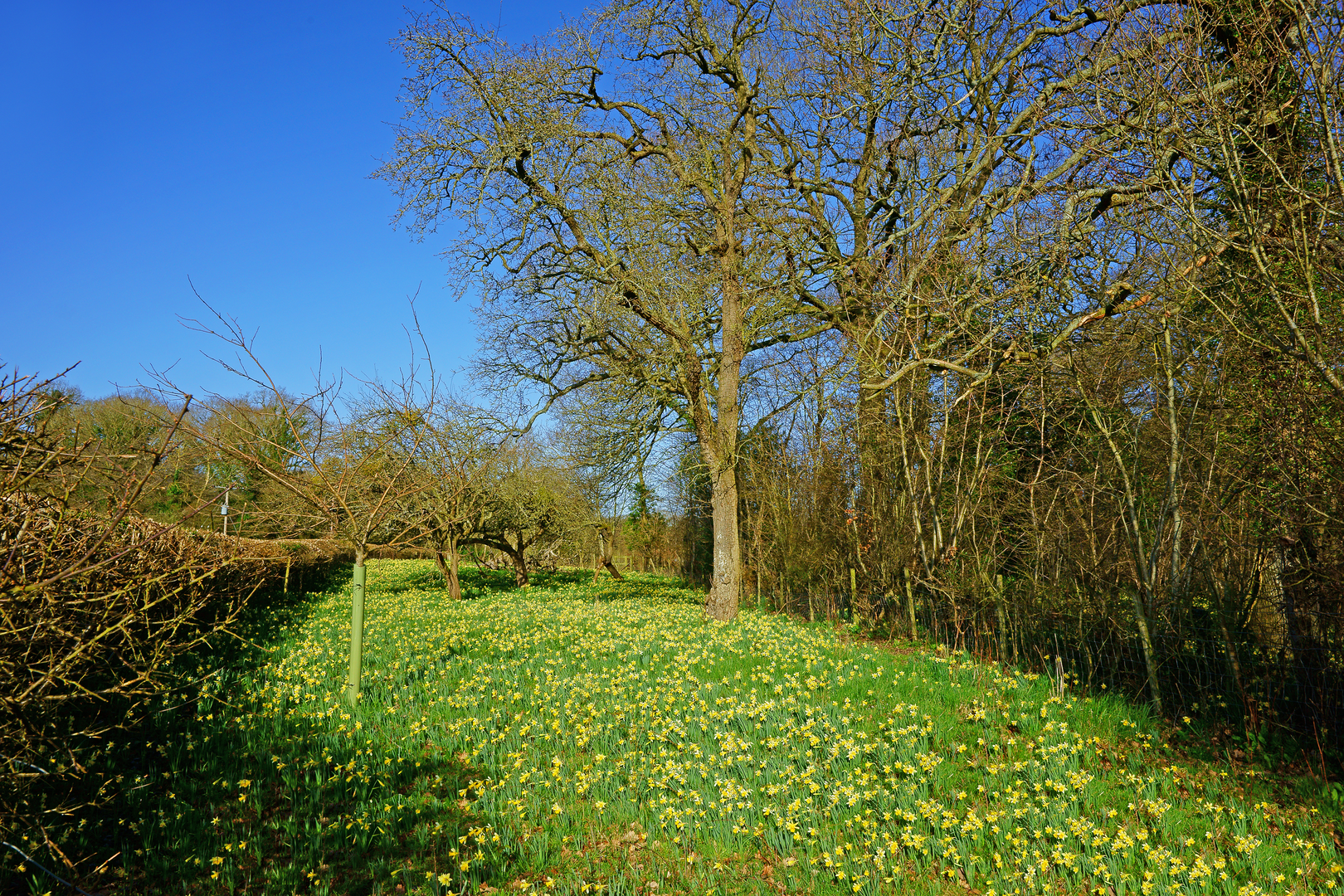 An image depicting the trail Crompton Circuit and its surrounding area.