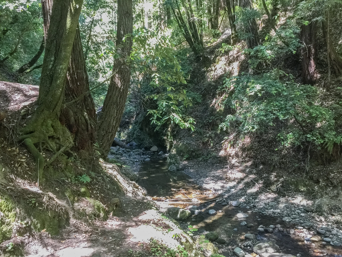 Monte Vista Trail via Creek Trail