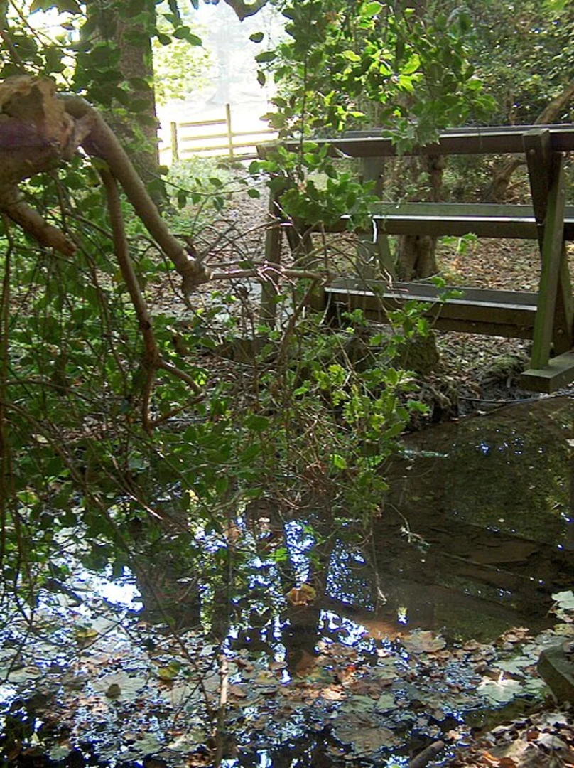 An image depicting the trail Gillfield Wood via GHB Ward Walk and Dronfield Rotary Walk and its surrounding area.