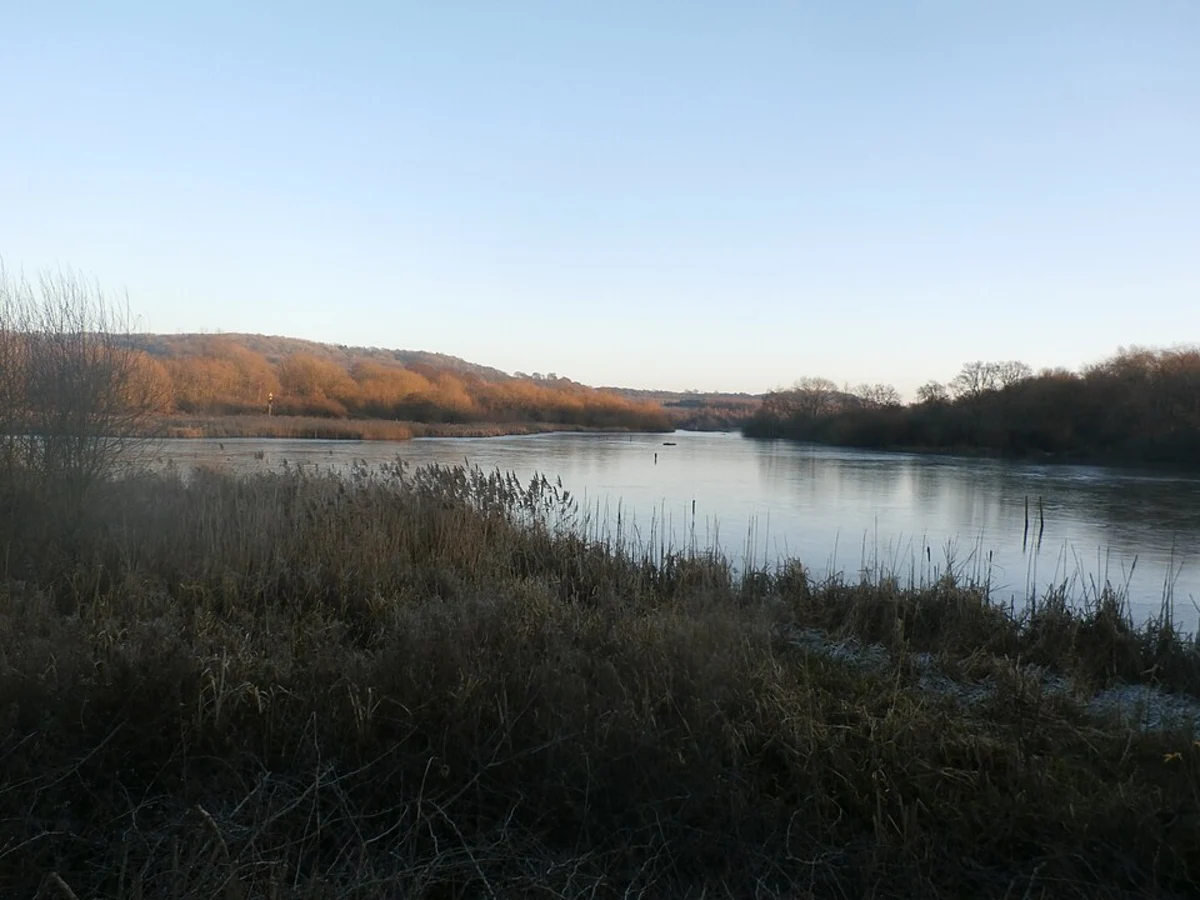 Denaby Ings Nature Reserve Loop