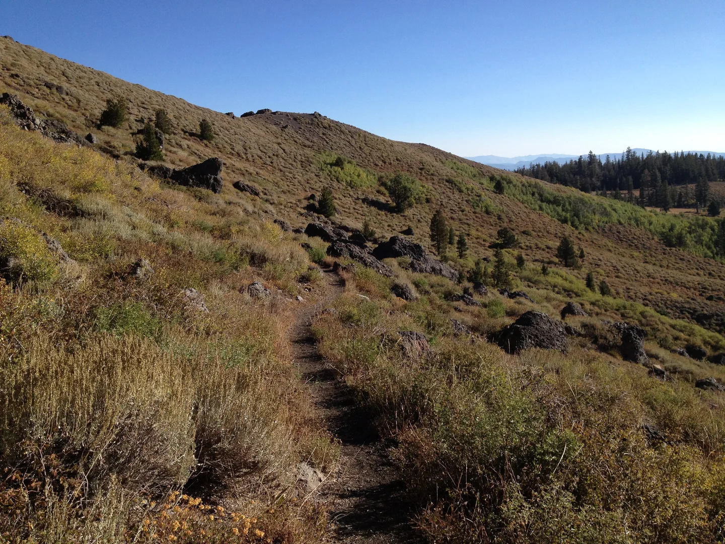 An image depicting the trail Raymond Peak via PCT and its surrounding area.