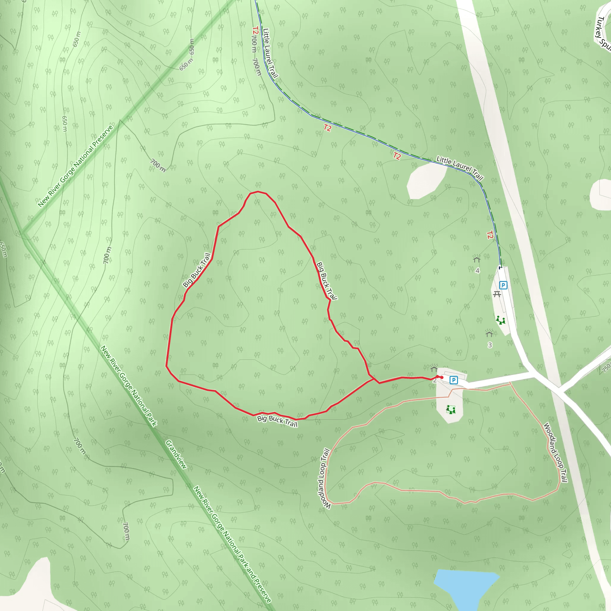 Big Buck Trail mobile static map