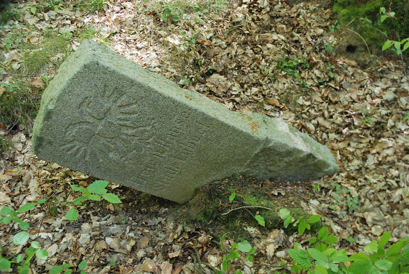 An image depicting the trail Käfertaler Wald and Neuwald Loop and its surrounding area.