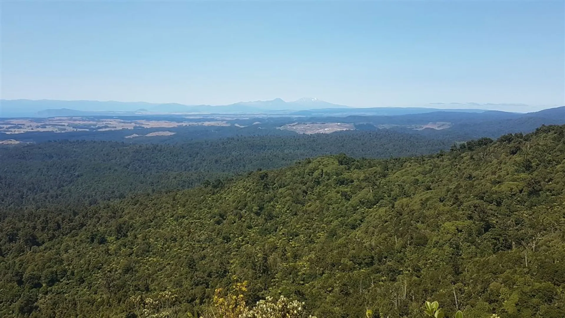 An image depicting the trail Hauhungaroa Track and its surrounding area.