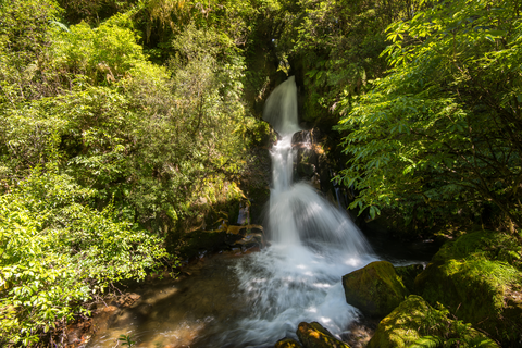 Waiatiu Falls