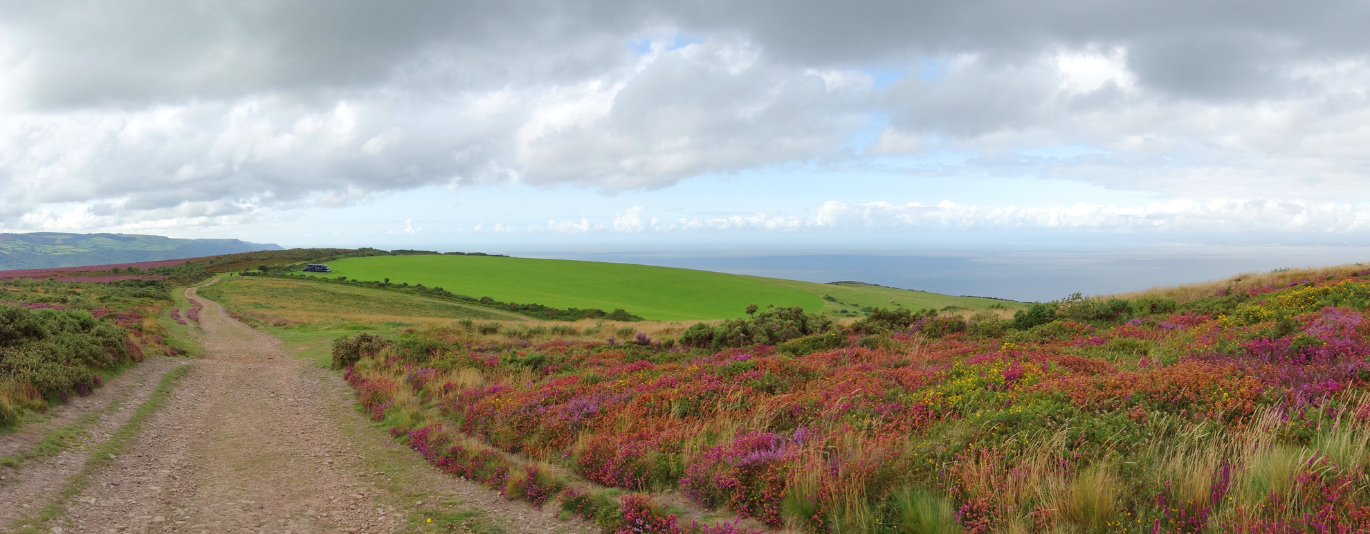 An image depicting the trail Selworthy Beacon from Selworthy and its surrounding area.